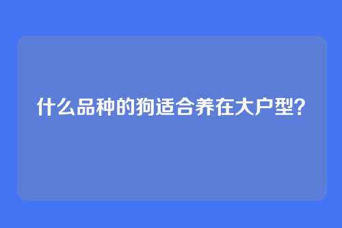 什么品种的狗适合养在大户型？
