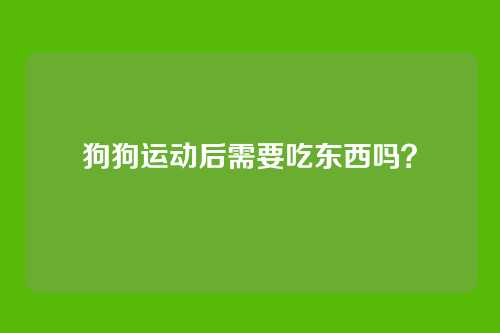 狗狗运动后需要吃东西吗？