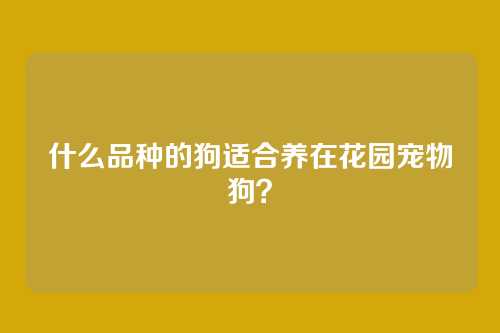 什么品种的狗适合养在花园宠物狗?