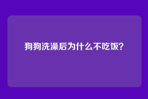 狗狗洗澡后为什么不吃饭？