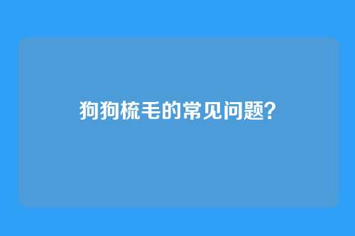 狗狗梳毛的常见问题？