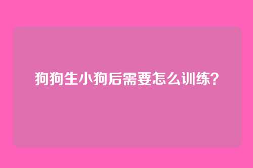狗狗生小狗后需要怎么训练？