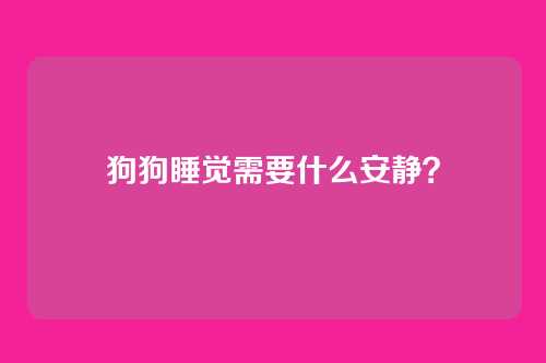 狗狗睡觉需要什么安静？