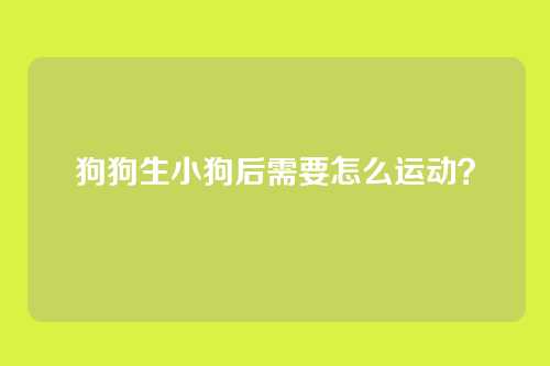 狗狗生小狗后需要怎么运动？