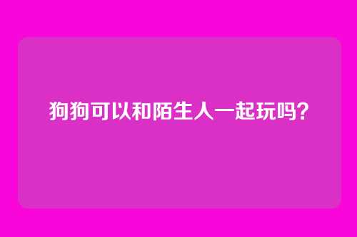 狗狗可以和陌生人一起玩吗？