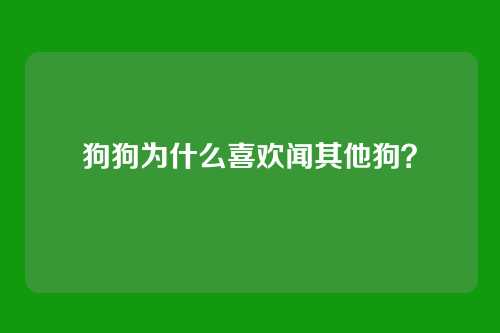 狗狗为什么喜欢闻其他狗？