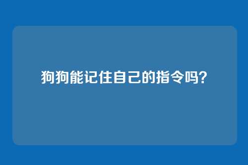 狗狗能记住自己的指令吗？