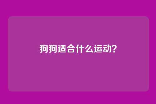 狗狗适合什么运动？