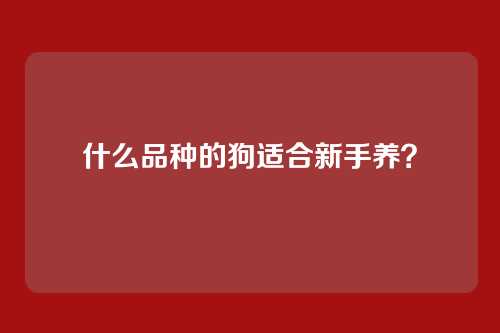 什么品种的狗适合新手养?