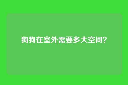 狗狗在室外需要多大空间？