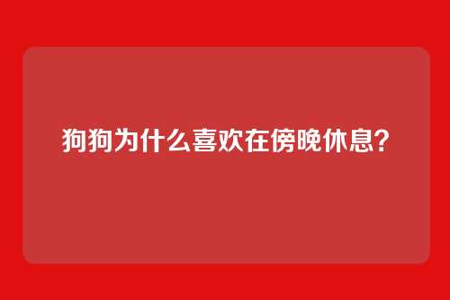 狗狗为什么喜欢在傍晚休息？