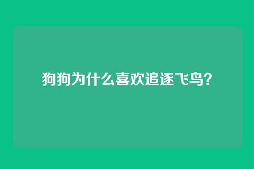 狗狗为什么喜欢追逐飞鸟？