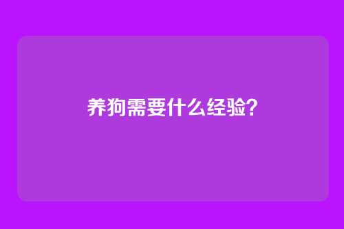 养狗需要什么经验？