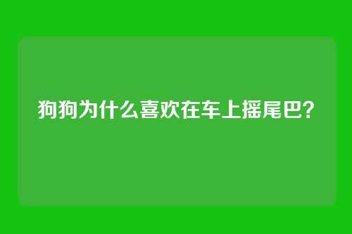狗狗为什么喜欢在车上摇尾巴?