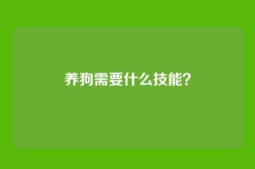 养狗需要什么技能？