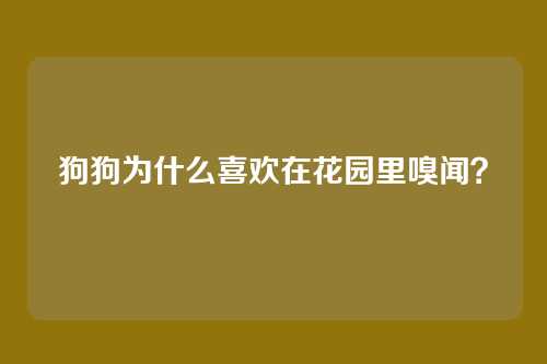 狗狗为什么喜欢在花园里嗅闻？