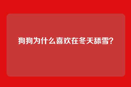 狗狗为什么喜欢在冬天舔雪？