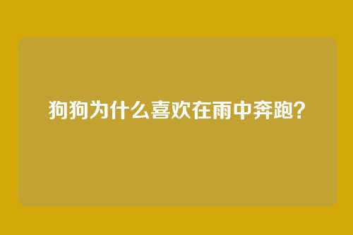 狗狗为什么喜欢在雨中奔跑？