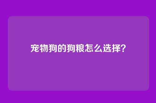 宠物狗的狗粮怎么选择？