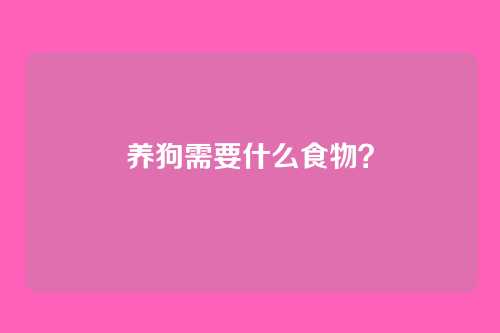 养狗需要什么食物？