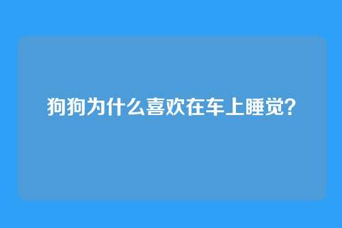 狗狗为什么喜欢在车上睡觉？