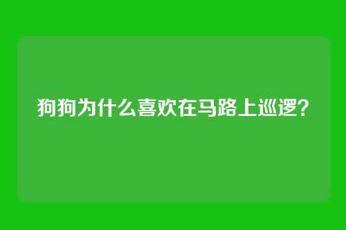 狗狗为什么喜欢在马路上巡逻？