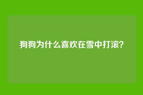 狗狗为什么喜欢在雪中打滚？