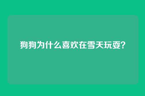 狗狗为什么喜欢在雪天玩耍？