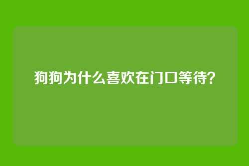 狗狗为什么喜欢在门口等待？