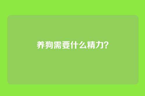 养狗需要什么精力？