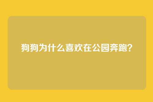 狗狗为什么喜欢在公园奔跑?