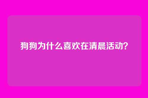 狗狗为什么喜欢在清晨活动？