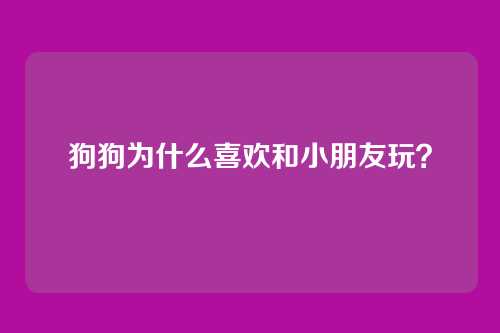 狗狗为什么喜欢和小朋友玩？