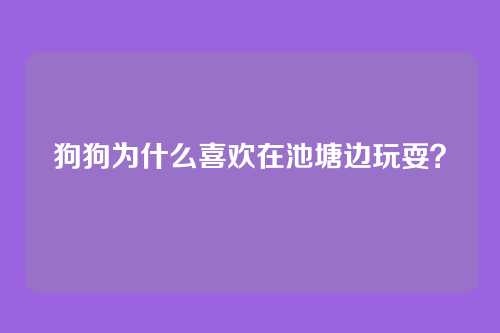 狗狗为什么喜欢在池塘边玩耍？