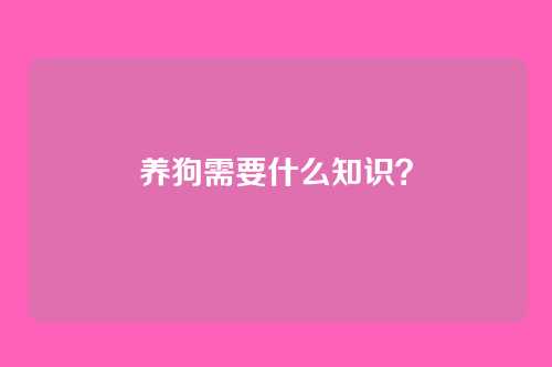 养狗需要什么知识?