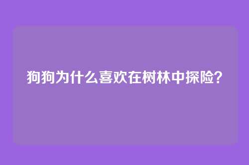 狗狗为什么喜欢在树林中探险？