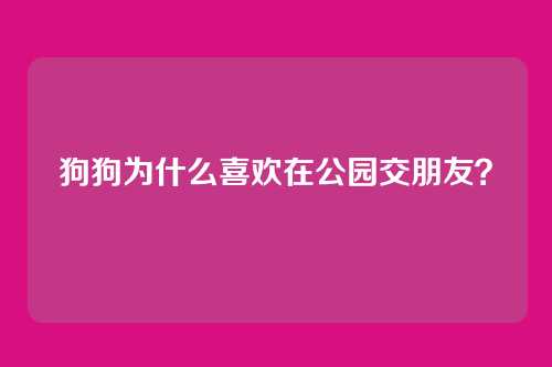 狗狗为什么喜欢在公园交朋友？