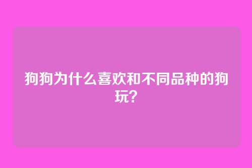 狗狗为什么喜欢和不同品种的狗玩？