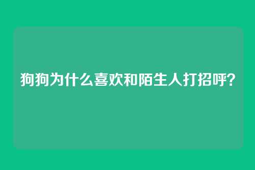 狗狗为什么喜欢和陌生人打招呼？