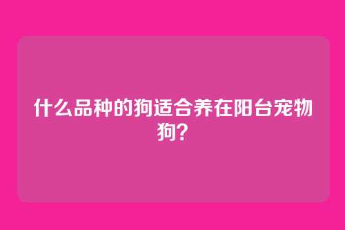 什么品种的狗适合养在阳台宠物狗？