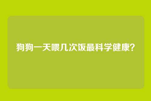 狗狗一天喂几次饭最科学健康？
