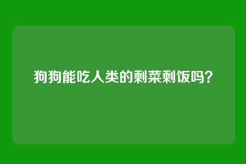 狗狗能吃人类的剩菜剩饭吗？