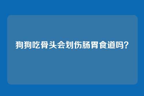 狗狗吃骨头会划伤肠胃食道吗？