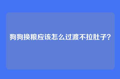 狗狗换粮应该怎么过渡不拉肚子？