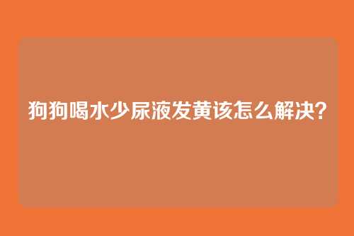 狗狗喝水少尿液发黄该怎么解决？