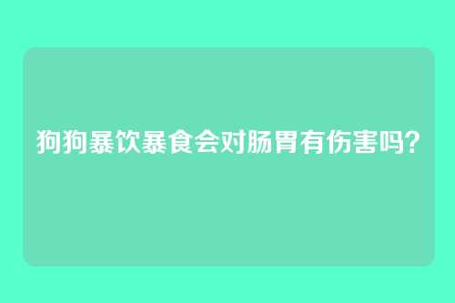 狗狗暴饮暴食会对肠胃有伤害吗?