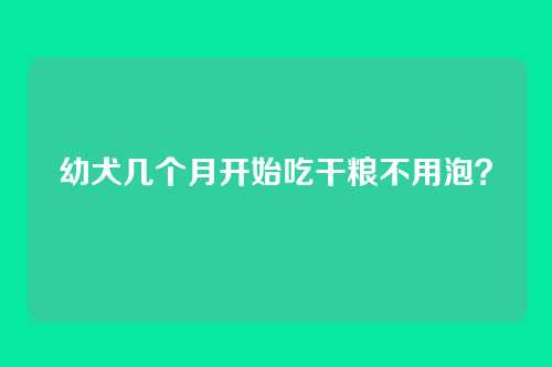 幼犬几个月开始吃干粮不用泡？