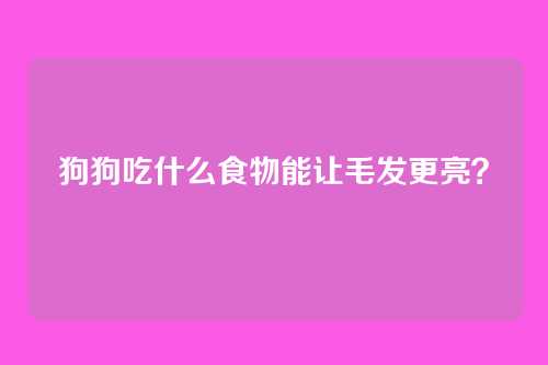 狗狗吃什么食物能让毛发更亮？