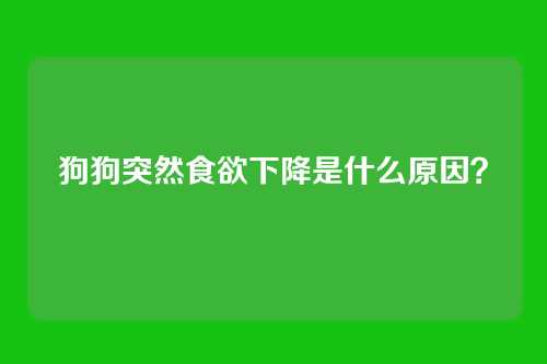 狗狗突然食欲下降是什么原因？