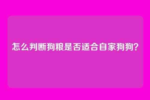 怎么判断狗粮是否适合自家狗狗？
